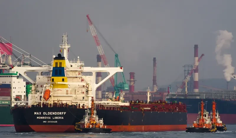 MAX WARRIOR Bulk Carrier IMO 9600425 photo 8