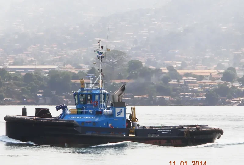 AFRIK COUGAR General Cargo IMO 9600487