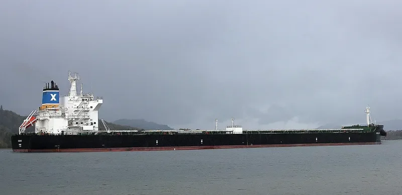 DONA BIBI Bulk Carrier IMO 9600619