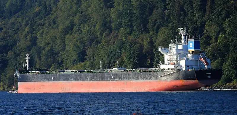 DONA BIBI Bulk Carrier IMO 9600619 photo 3