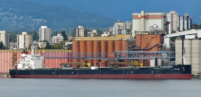 DONA BIBI Bulk Carrier IMO 9600619 photo 5