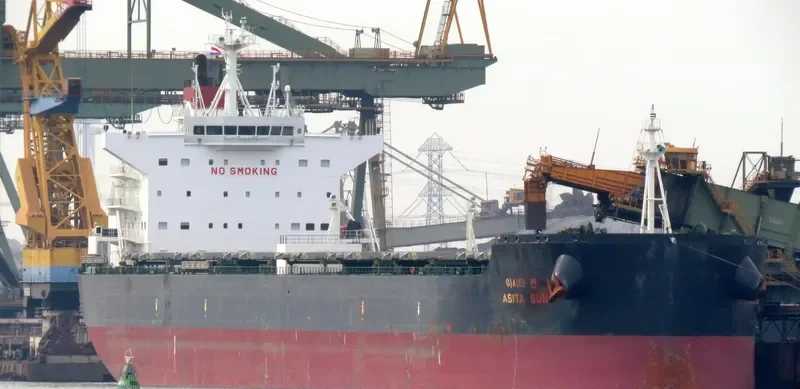 DONA BIBI Bulk Carrier IMO 9600619 photo 8