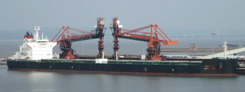 DONA BIBI Bulk Carrier IMO 9600619 photo 9