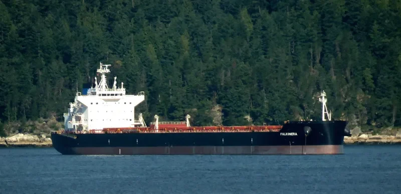 FALKONERA Bulk Carrier IMO 9600621 photo 5