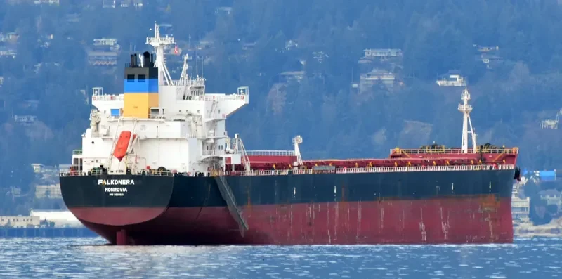 FALKONERA Bulk Carrier IMO 9600621 photo 9
