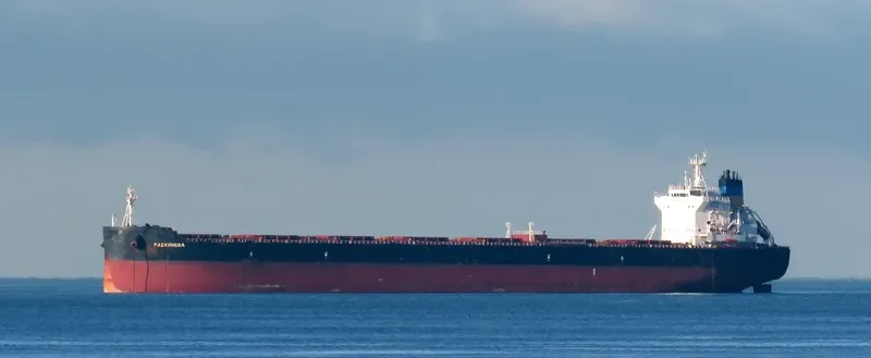 FALKONERA Bulk Carrier IMO 9600621 photo 10