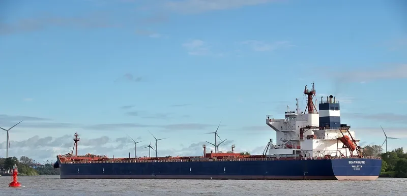 MSXT OCEANUS Bulk Carrier IMO 9600633 photo 2