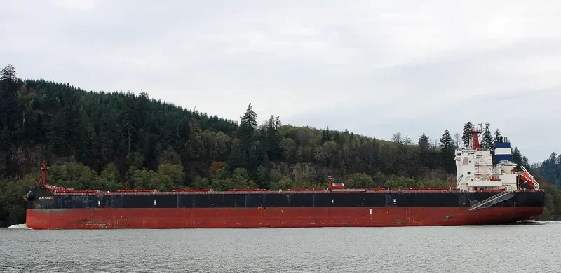 MSXT OCEANUS Bulk Carrier IMO 9600633 photo 3