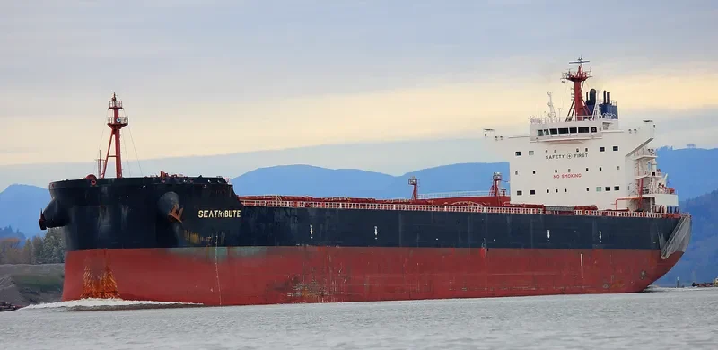 MSXT OCEANUS Bulk Carrier IMO 9600633 photo 5