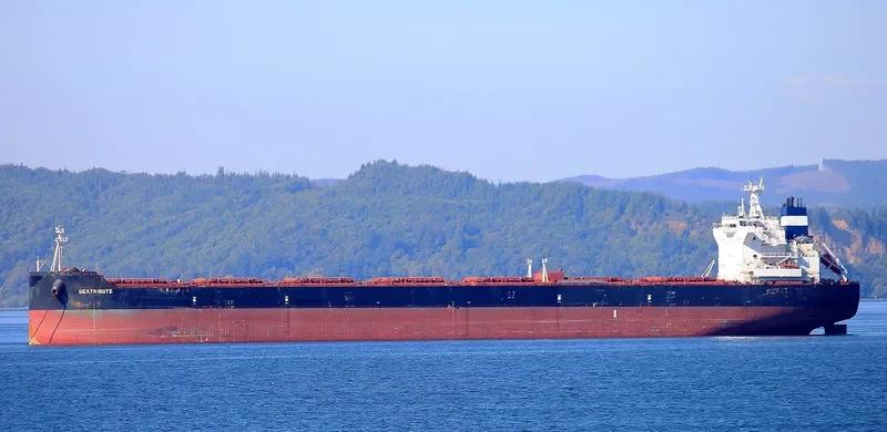 MSXT OCEANUS Bulk Carrier IMO 9600633 photo 7