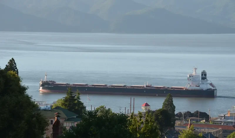 MSXT OCEANUS Bulk Carrier IMO 9600633 photo 9