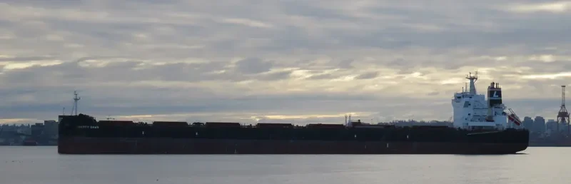 ASTARTE Bulk Carrier IMO 9600645 photo 7