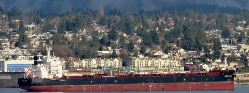 ASTARTE Bulk Carrier IMO 9600645 photo 8