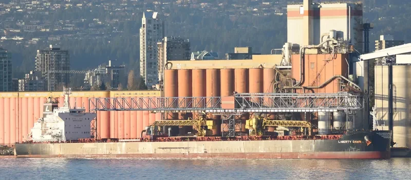 ASTARTE Bulk Carrier IMO 9600645 photo 9