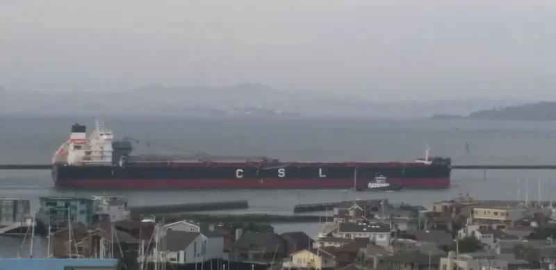 CSL TECUMSEH Bulk Carrier IMO 9600994