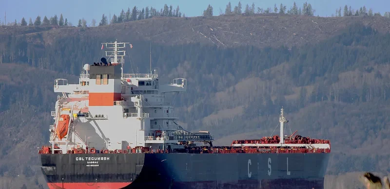 CSL TECUMSEH Bulk Carrier IMO 9600994 photo 8