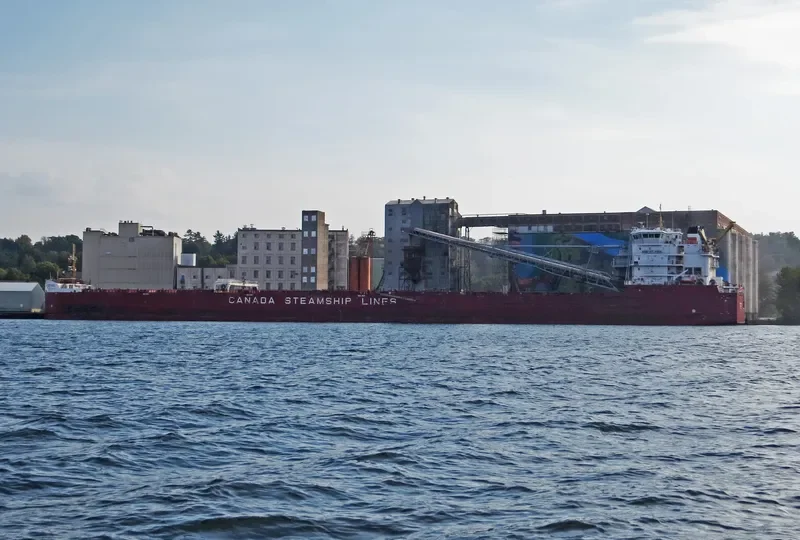 BAIE ST.PAUL Bulk Carrier IMO 9601027 photo 7