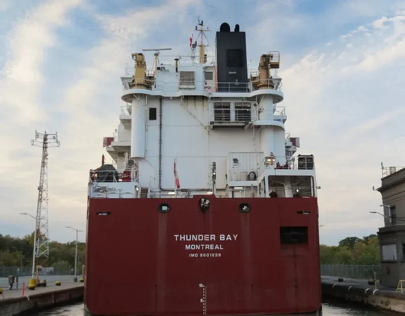 THUNDER BAY Bulk Carrier IMO 9601039 photo 3