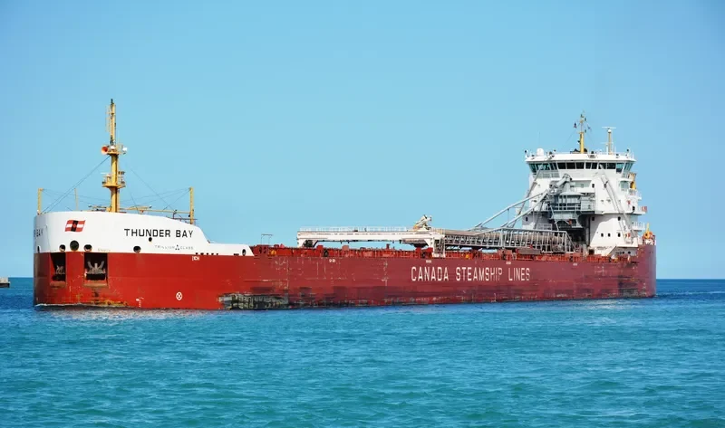 THUNDER BAY Bulk Carrier IMO 9601039 photo 9