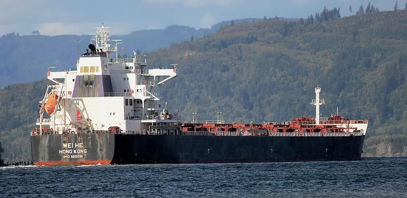WEI HE Bulk Carrier IMO 9601091