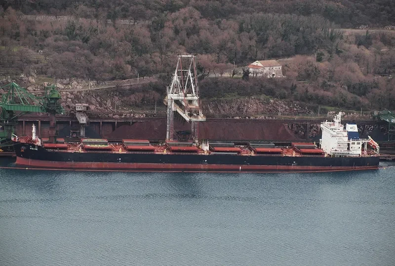 WEI HE Bulk Carrier IMO 9601091 photo 8