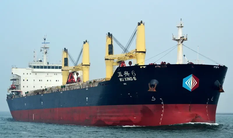 WU XING 6 Bulk Carrier IMO 9601182