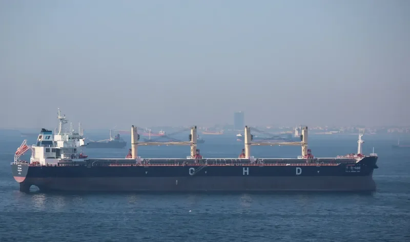 HUA HENG 166 Bulk Carrier IMO 9601209 photo 3