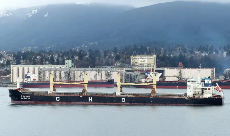 HUA HENG 166 Bulk Carrier IMO 9601209 photo 5