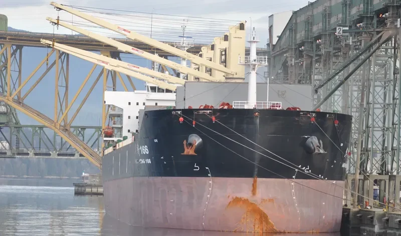 HUA HENG 166 Bulk Carrier IMO 9601209 photo 7