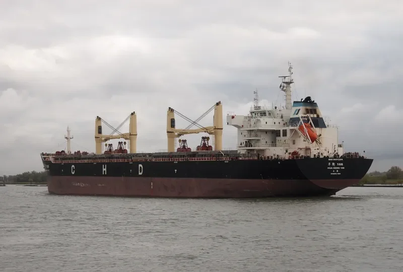 HUA HENG 166 Bulk Carrier IMO 9601209 photo 9
