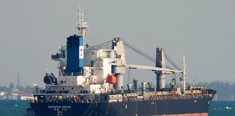 WOOHYUN GREEN General Cargo IMO 9601601 photo 7