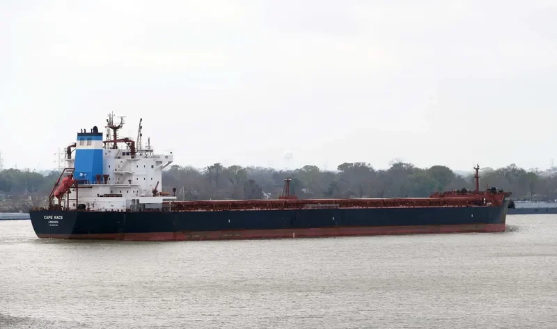 CAPE RACE Bulk Carrier IMO 9601728 photo 5