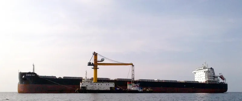 ZHENG YAO Bulk Carrier IMO 9601883 photo 3