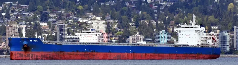 ISTRIA Bulk Carrier IMO 9601912 photo 2