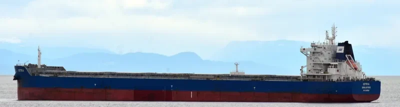 ISTRIA Bulk Carrier IMO 9601912 photo 12