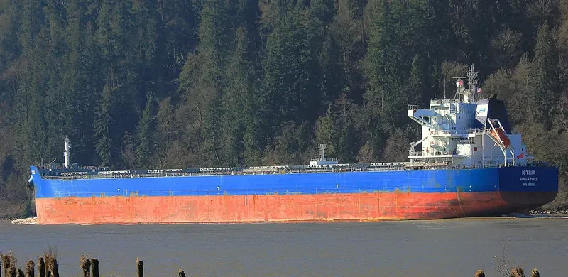 ISTRIA Bulk Carrier IMO 9601912 photo 14