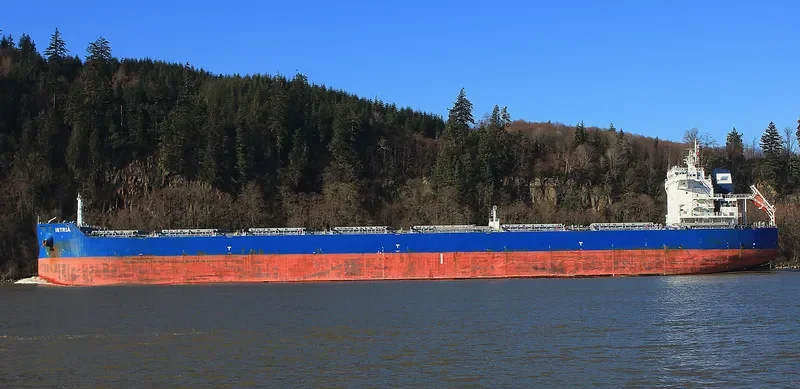 ISTRIA Bulk Carrier IMO 9601912 photo 16