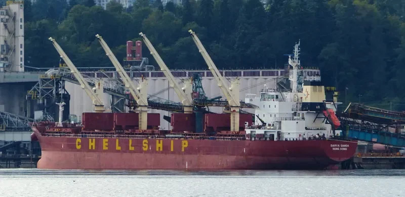 DARYA GANGA Bulk Carrier IMO 9601936 photo 6