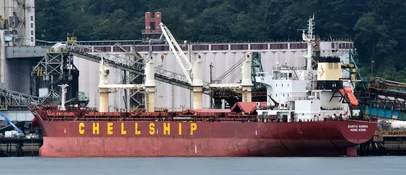 DARYA GANGA Bulk Carrier IMO 9601936 photo 8
