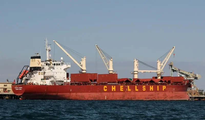 DARYA GANGA Bulk Carrier IMO 9601936 photo 10