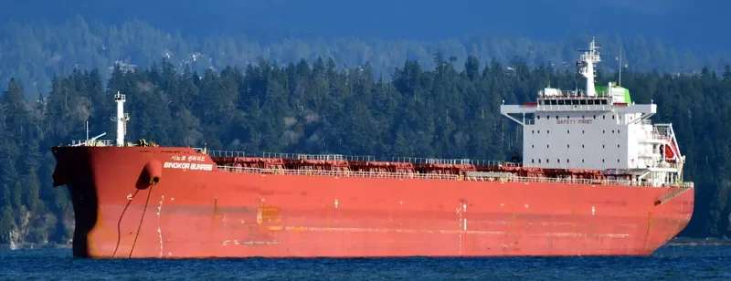 SINOKOR SUNRISE Bulk Carrier IMO 9602148 photo 2