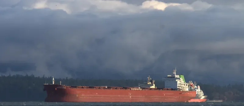 SINOKOR SUNRISE Bulk Carrier IMO 9602148 photo 5