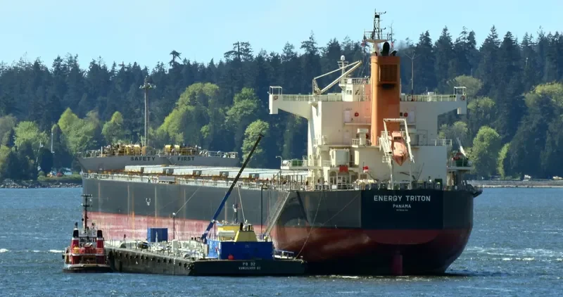 ENERGY TRITON Bulk Carrier IMO 9602368 photo 3