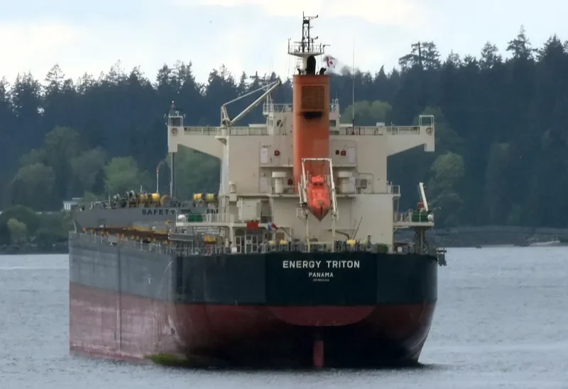 ENERGY TRITON Bulk Carrier IMO 9602368 photo 5