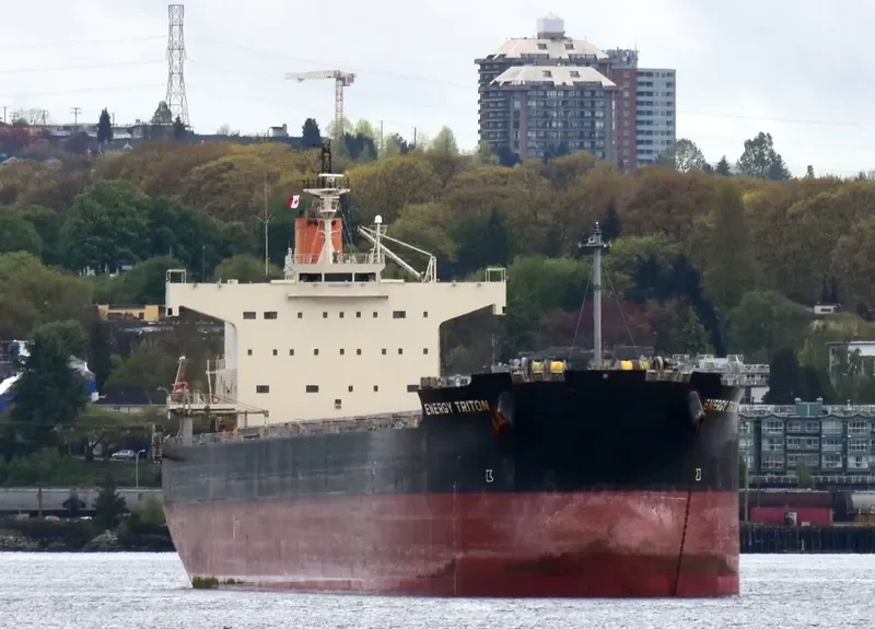 ENERGY TRITON Bulk Carrier IMO 9602368 photo 6