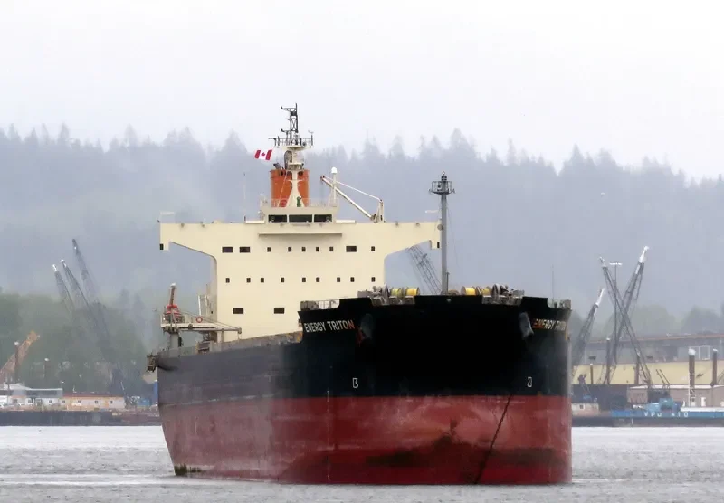 ENERGY TRITON Bulk Carrier IMO 9602368 photo 7