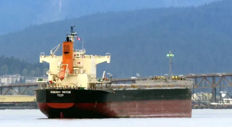 ENERGY TRITON Bulk Carrier IMO 9602368 photo 8