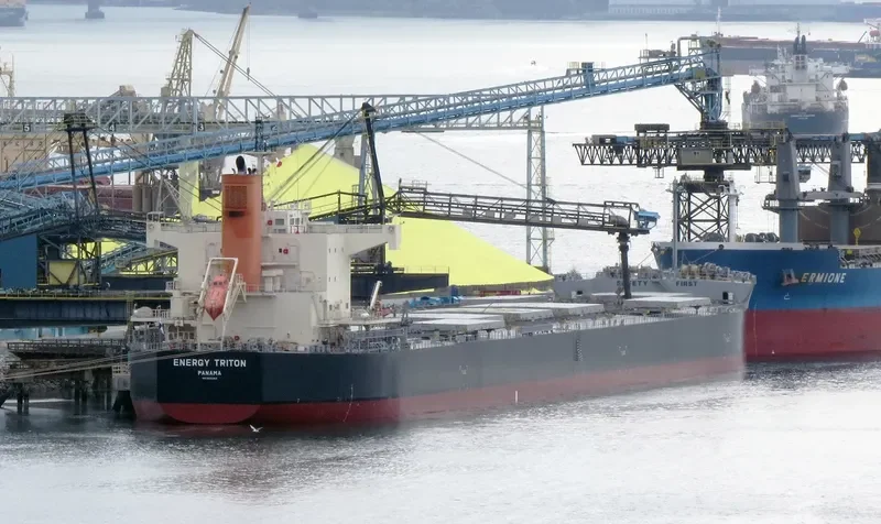 ENERGY TRITON Bulk Carrier IMO 9602368 photo 10