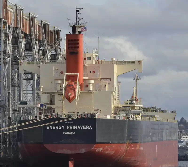 ENERGY PRIMAVERA Bulk Carrier IMO 9602382