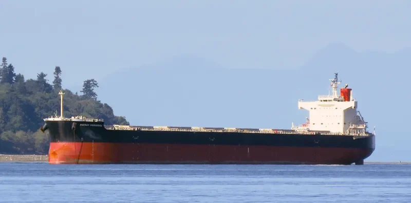 ENERGY PRIMAVERA Bulk Carrier IMO 9602382 photo 2